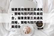 猫里奥攻略第三关通关,策略与技巧的完美结合,猫里奥第三关通关攻略,策略与技巧的完美结合 猫里奥攻略第三关通关,策略与技巧的完美结合,猫里奥第三关通关攻略,策略与技巧的完美结合