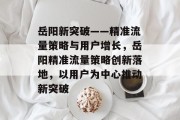 岳阳新突破——精准流量策略与用户增长,岳阳精准流量策略创新落地,以用户为中心推动新突破 岳阳新突破——精准流量策略与用户增长,岳阳精准流量策略创新落地,以用户为中心推动新突破