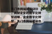 天门市网站建设SEO,揭秘企业的数字化转型战略,企业数字化转型,天门市网站建设攻略 天门市网站建设SEO,揭秘企业的数字化转型战略,企业数字化转型,天门市网站建设攻略