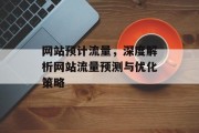 网站预计流量,深度解析网站流量预测与优化策略 网站预计流量,深度解析网站流量预测与优化策略