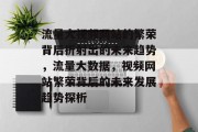 流量大视频网站的繁荣背后折射出的未来趋势,流量大数据,视频网站繁荣背后的未来发展趋势探析 流量大视频网站的繁荣背后折射出的未来趋势,流量大数据,视频网站繁荣背后的未来发展趋势探析