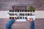 网站流量王的策略及实践技巧,网站流量王,策略与实践之选 网站流量王的策略及实践技巧,网站流量王,策略与实践之选