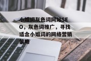 小姐词灰色词网站SEO,灰色词推广,寻找适合小姐词的网络营销策略 小姐词灰色词网站SEO,灰色词推广,寻找适合小姐词的网络营销策略