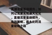 直播流量等级提升,如何让流量实现最大化化,直播流量量级提升,有效策略,最大化的流量驱动之路 直播流量等级提升,如何让流量实现最大化化,直播流量量级提升,有效策略,最大化的流量驱动之路