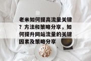 老米如何提高流量关键?方法和策略分享,如何提升网站流量的关键因素及策略分享