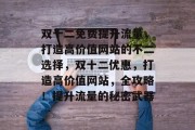 双十二免费提升流量，打造高价值网站的不二选择，双十二优惠，打造高价值网站，全攻略！提升流量的秘密武器