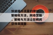 快速提升流量的捷径,策略和方法,网络营销,策略与方法让你瞬间获得高流量