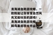 青海湖自助游攻略，一款既能让你享受自然风光又能玩乐的游戏！，青海湖自助游攻略，不踩鸟巢却享水光山色