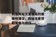 构建网站流量通路的策略和建议,网站流量获取策略与技巧 构建网站流量通路的策略和建议,网站流量获取策略与技巧