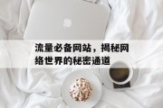 流量必备网站,揭秘网络世界的秘密通道 流量必备网站,揭秘网络世界的秘密通道