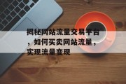 揭秘网站流量交易平台，如何买卖网站流量，实现流量变现