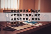 网站流量值钱,如何通过数据分析盈利,网站流量分析盈利,数据驱动的策略 网站流量值钱,如何通过数据分析盈利,网站流量分析盈利,数据驱动的策略