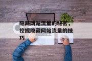 隐藏网站流量的秘密,挖掘隐藏网站流量的技巧 隐藏网站流量的秘密,挖掘隐藏网站流量的技巧
