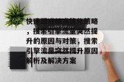 快速跟进精准优化策略,搜索引擎流量突然提升的原因与对策,搜索引擎流量突然提升原因解析及解决方案 快速跟进精准优化策略,搜索引擎流量突然提升的原因与对策,搜索引擎流量突然提升原因解析及解决方案