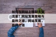 如何在网站上赚取大量流量？网站发展策略与盈利之道，网站发展，盈利之道