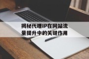 揭秘代理IP在网站流量提升中的关键作用 揭秘代理IP在网站流量提升中的关键作用