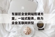 东丽区企业网站搭建方案,一站式服务,助力企业互联网转型 东丽区企业网站搭建方案,一站式服务,助力企业互联网转型