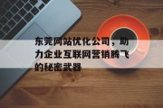 东莞网站优化公司,助力企业互联网营销腾飞的秘密武器 东莞网站优化公司,助力企业互联网营销腾飞的秘密武器
