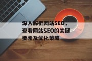 深入解析网站SEO,查看网站SEO的关键要素及优化策略 深入解析网站SEO,查看网站SEO的关键要素及优化策略