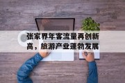 张家界年客流量再创新高,旅游产业蓬勃发展 张家界年客流量再创新高,旅游产业蓬勃发展