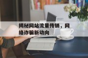 揭秘网站流量传销,网络诈骗新动向 揭秘网站流量传销,网络诈骗新动向