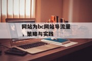 网站为bc网站导流量,策略与实践 网站为bc网站导流量,策略与实践