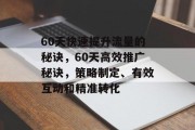 60天快速提升流量的秘诀,60天高效推广秘诀,策略制定、有效互动和精准转化 60天快速提升流量的秘诀,60天高效推广秘诀,策略制定、有效互动和精准转化