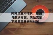 网站流量不增长，原因与解决方案，网站流量下滑原因分析与对策