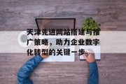 天津先进网站搭建与推广策略，助力企业数字化转型的关键一步