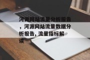 河源网站流量分析报告，河源网站流量数据分析报告, 流量指标解读