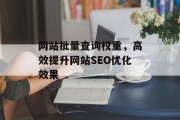 网站批量查询权重，高效提升网站SEO优化效果