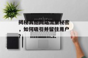揭秘其他网站流量秘密，如何吸引并留住用户？