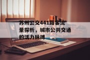 苏州公交441路客流量探析,城市公共交通的活力脉搏 苏州公交441路客流量探析,城市公共交通的活力脉搏