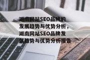 湖南网站SEO品牌的发展趋势与优势分析,湖南网站SEO品牌发展趋势与优势分析报告 湖南网站SEO品牌的发展趋势与优势分析,湖南网站SEO品牌发展趋势与优势分析报告