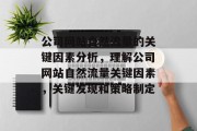公司网站自然流量的关键因素分析,理解公司网站自然流量关键因素,关键发现和策略制定 公司网站自然流量的关键因素分析,理解公司网站自然流量关键因素,关键发现和策略制定