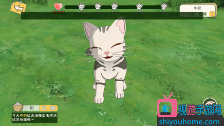 可以养猫的游戏攻略(养猫游戏推荐)