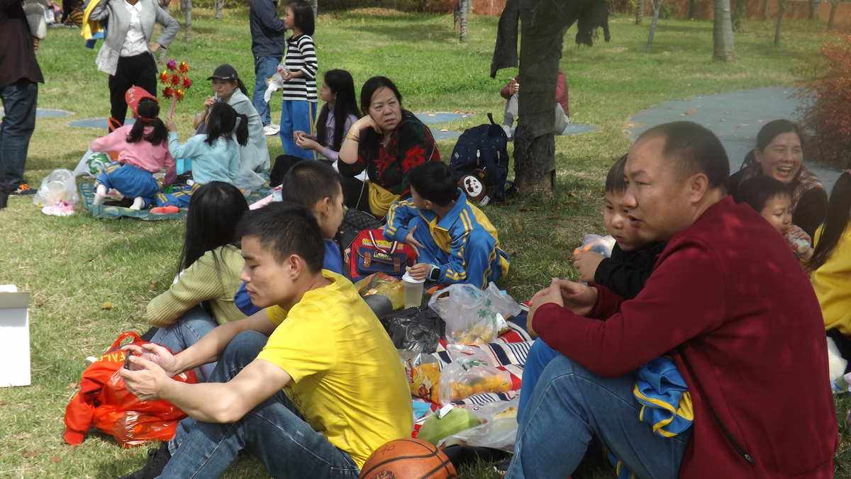 关于野餐必备攻略亲子游戏的信息