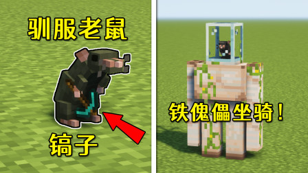 鼠的世界攻略(老鼠的地下世界) 鼠的世界攻略(老鼠的地下世界)