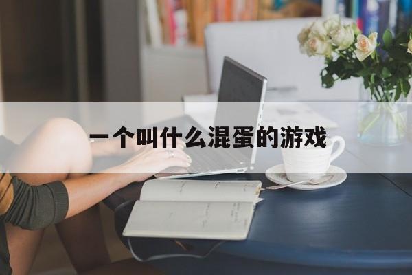 一个叫什么混蛋的游戏 一个叫什么混蛋的游戏