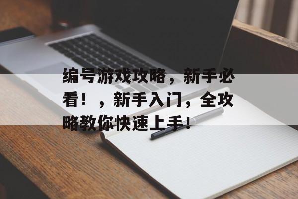 编号游戏攻略，新手必看！，新手入门，全攻略教你快速上手！