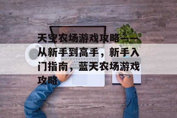 天空农场游戏攻略——从新手到高手,新手入门指南,蓝天农场游戏攻略 天空农场游戏攻略——从新手到高手,新手入门指南,蓝天农场游戏攻略