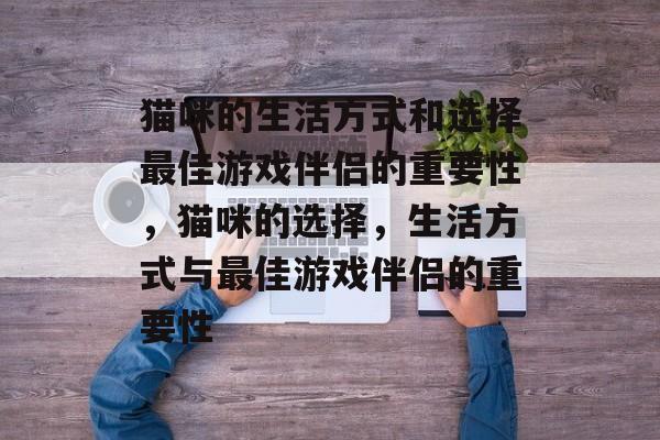 猫咪的生活方式和选择最佳游戏伴侣的重要性,猫咪的选择,生活方式与最佳游戏伴侣的重要性 猫咪的生活方式和选择最佳游戏伴侣的重要性,猫咪的选择,生活方式与最佳游戏伴侣的重要性