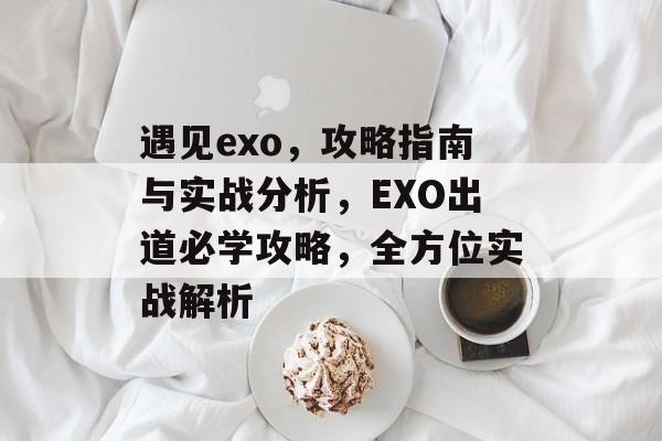 遇见exo,攻略指南与实战分析,EXO出道必学攻略,全方位实战解析 遇见exo,攻略指南与实战分析,EXO出道必学攻略,全方位实战解析