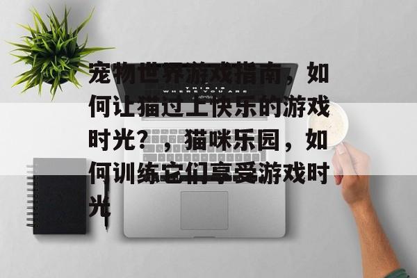宠物世界游戏指南,如何让猫过上快乐的游戏时光?,猫咪乐园,如何训练它们享受游戏时光 宠物世界游戏指南,如何让猫过上快乐的游戏时光?,猫咪乐园,如何训练它们享受游戏时光