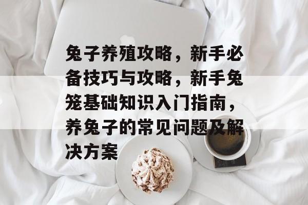 兔子养殖攻略,新手必备技巧与攻略,新手兔笼基础知识入门指南,养兔子的常见问题及解决方案 兔子养殖攻略,新手必备技巧与攻略,新手兔笼基础知识入门指南,养兔子的常见问题及解决方案