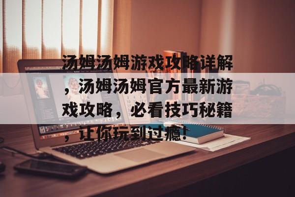 汤姆汤姆游戏攻略详解，汤姆汤姆官方最新游戏攻略，必看技巧秘籍，让你玩到过瘾!