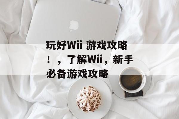 玩好Wii 游戏攻略！，了解Wii，新手必备游戏攻略