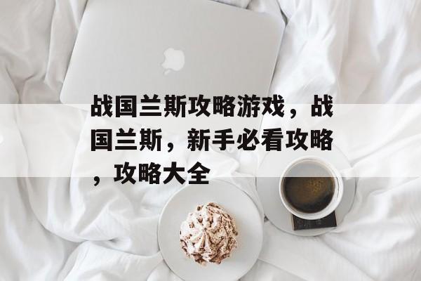 战国兰斯攻略游戏，战国兰斯，新手必看攻略，攻略大全