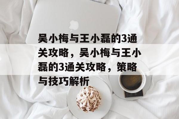 吴小梅与王小磊的3通关攻略，吴小梅与王小磊的3通关攻略，策略与技巧解析