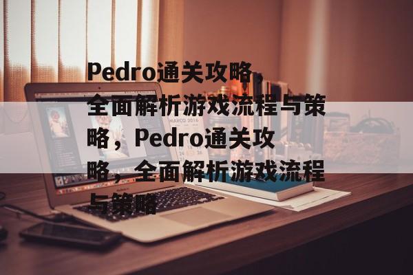Pedro通关攻略，全面解析游戏流程与策略，Pedro通关攻略，全面解析游戏流程与策略